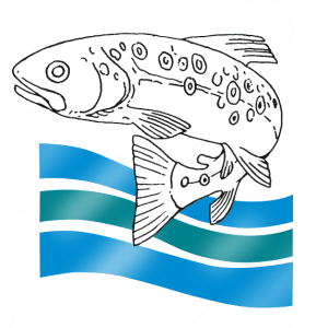 Logo von Fischzucht Rösch in Bärnau in der Oberpfalz: Nachhaltige Aufzucht von erstklassigen Besatz- und Speisefischen. Forellen und viele andere Fische hoher Qualität zur Auswahl.